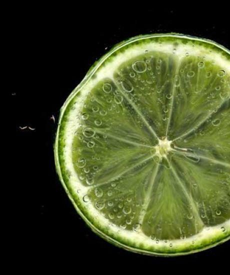 https://scarabee-biocoop.coop/virgin cocktail citron vert piment