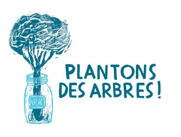 Plantons des arbres
