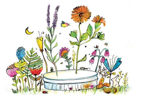 Cosmétiques naturelles