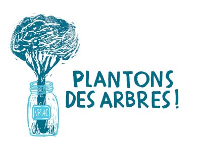 Plantons des arbres