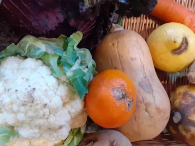zéro déchet fruits et légumes fatigués