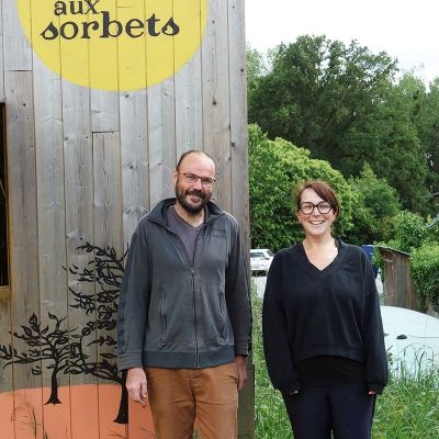 L'arbre aux sorbets