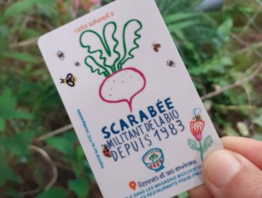 carte scarabee