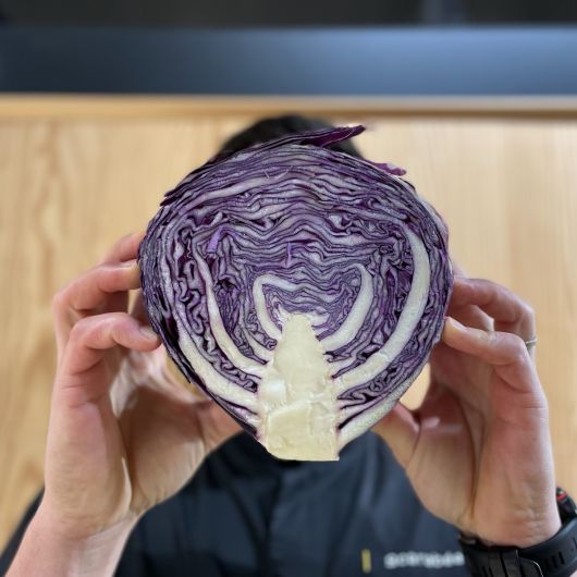 contenants zéro déchet