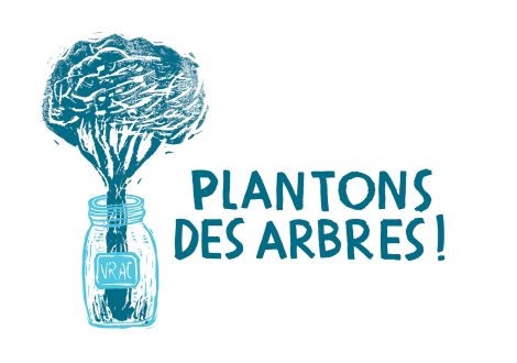 Plantons des arbres