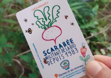 carte scarabee
