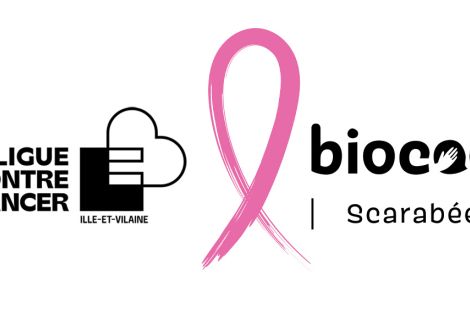 scarabée x llcc35 octobre rose