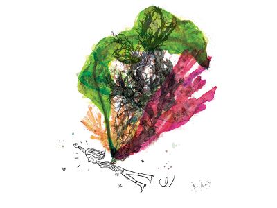Super algue, illustration Benoit Morel