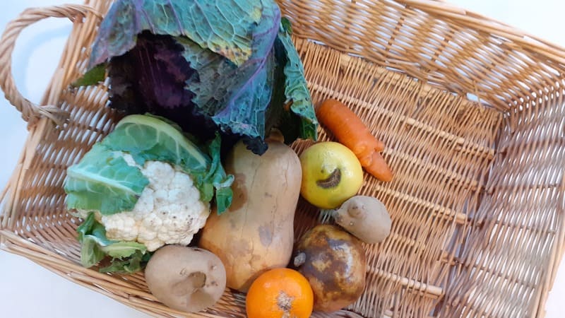 légumes fatigués panier