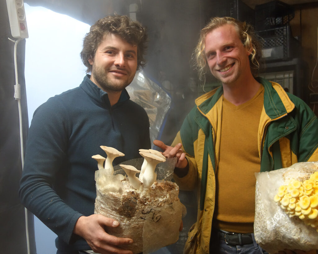 Champipote, champignons bio Rennes